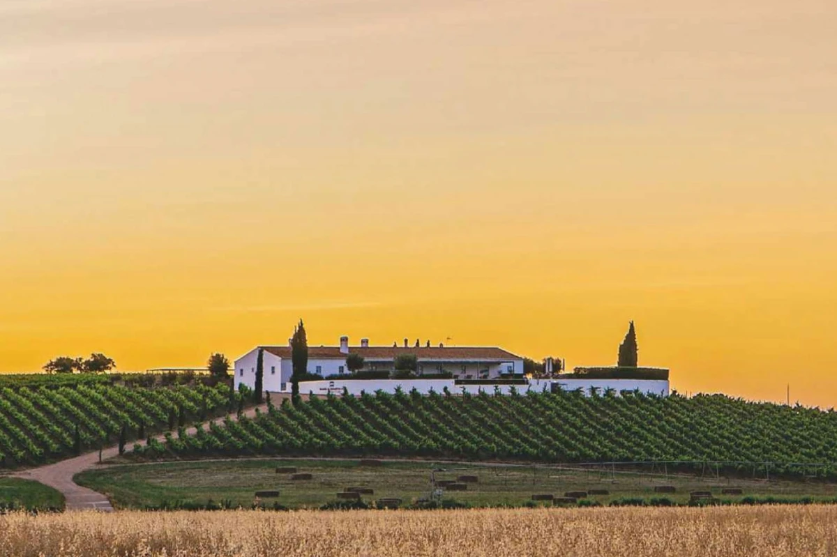 Malhadinha: The Heart of the Alentejo