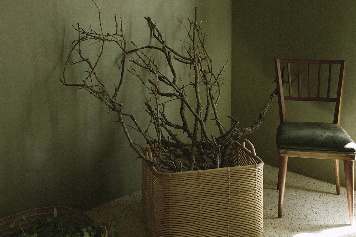 Casa das Artes e Of&iacute;cios: it's a green affair! 4