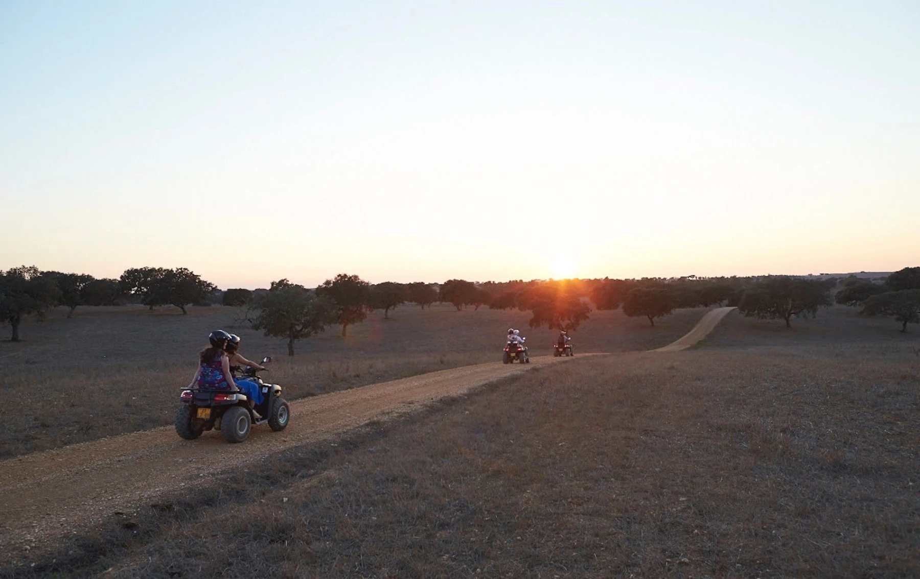 Exclusive Buggies and BTT bycicles