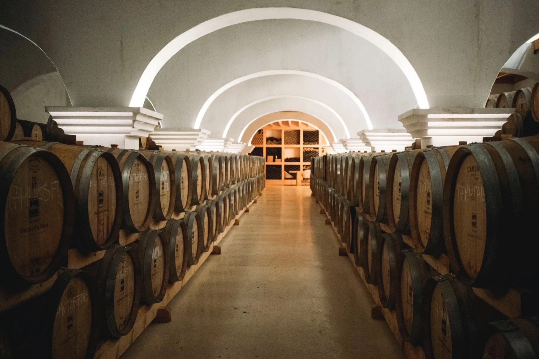 MEET THE TEAM WITH LU&Iacute;S DUARTE, CONSULTING WINEMAKER 2