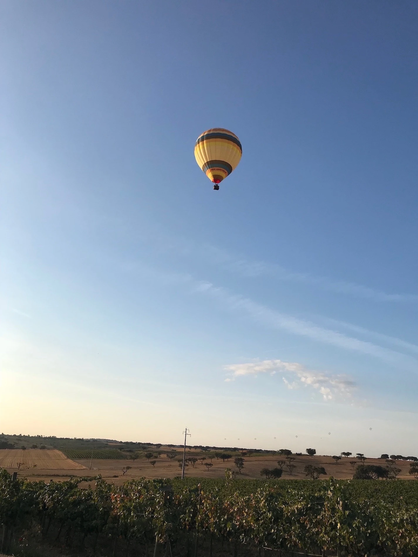 Herdade da Malhadinha Nova: Une exp&eacute;rience rurale dans un environnement naturel et pur 2