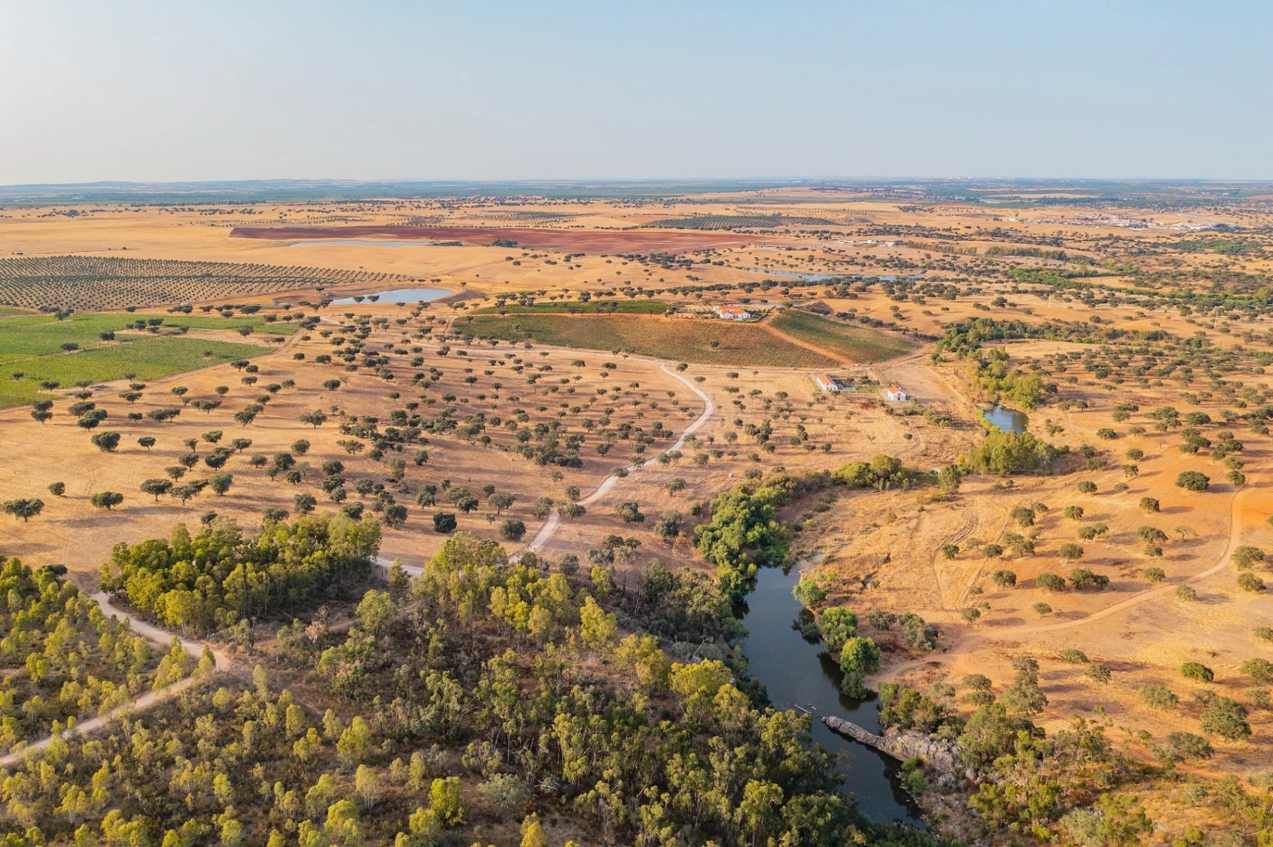 Herdade da Malhadinha Nova: Une exp&eacute;rience rurale dans un environnement naturel et pur 6