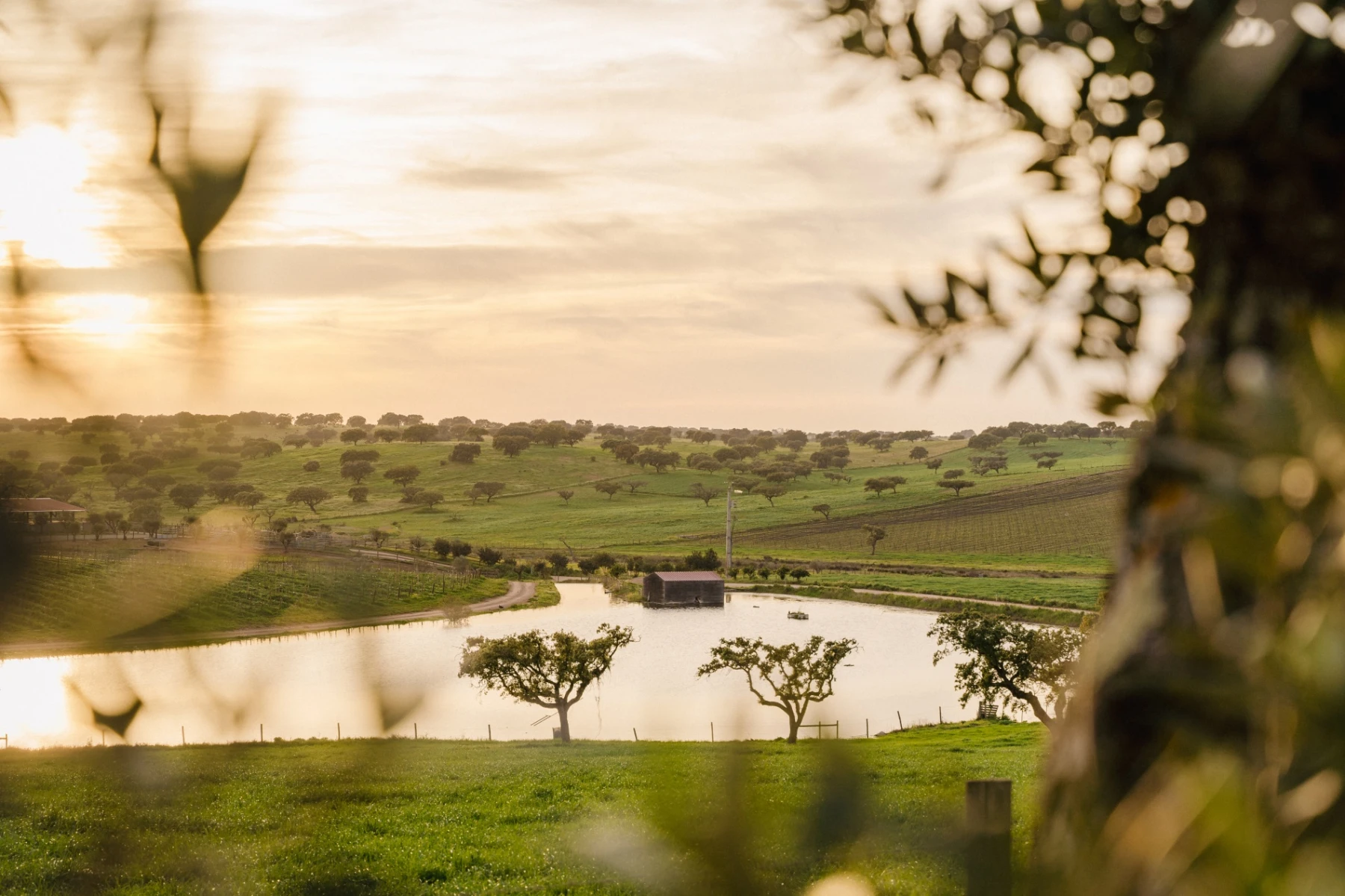 SLOW LIVING - 8 TIPPS F&Uuml;R EIN ACHTSAMES UND ENTSPANNTES LEBEN 4