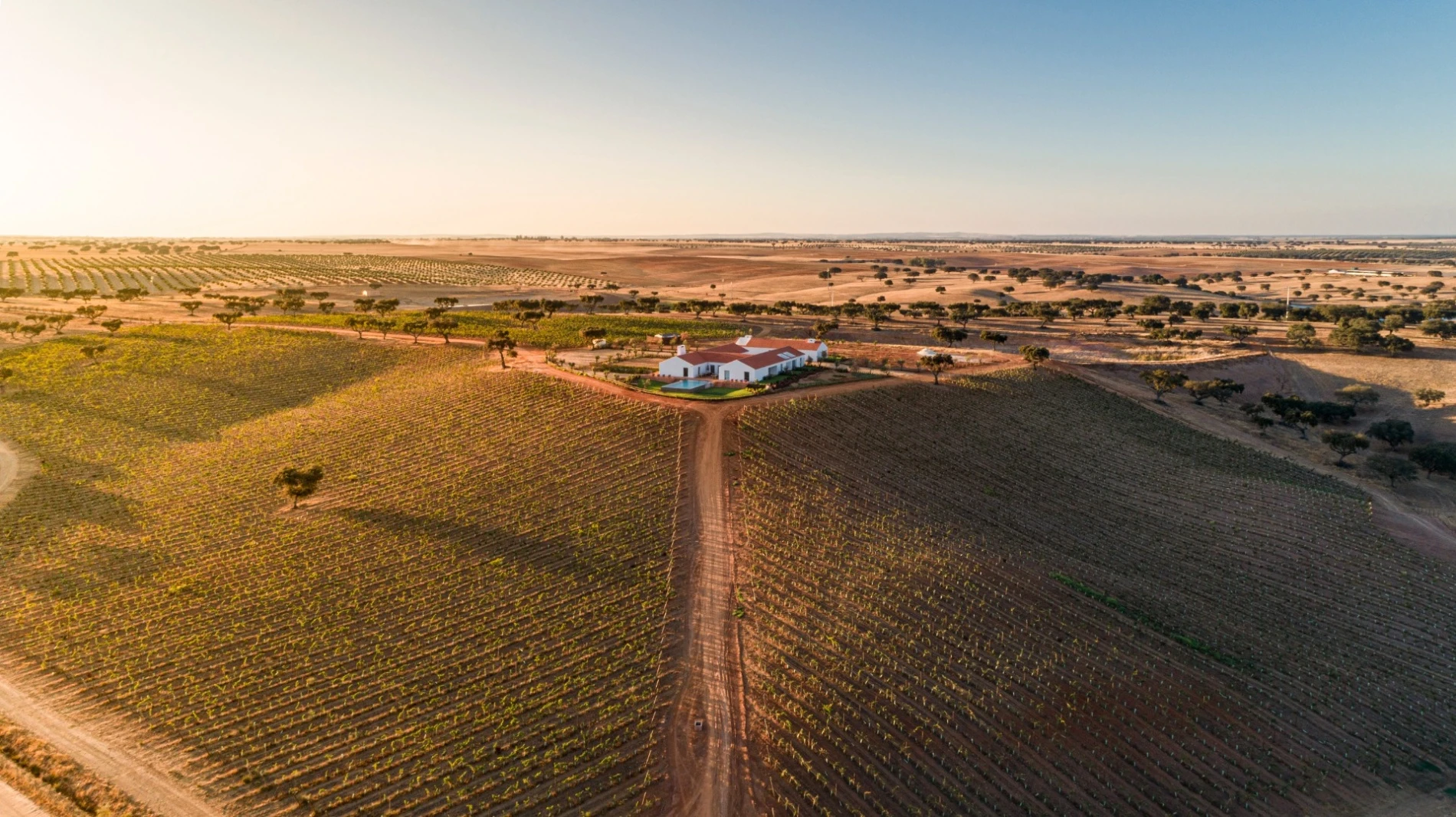 The white estate house seen from the air at sunset, vineyard rows converging on it from both sides and the Alentejo plain running flat to the horizon.