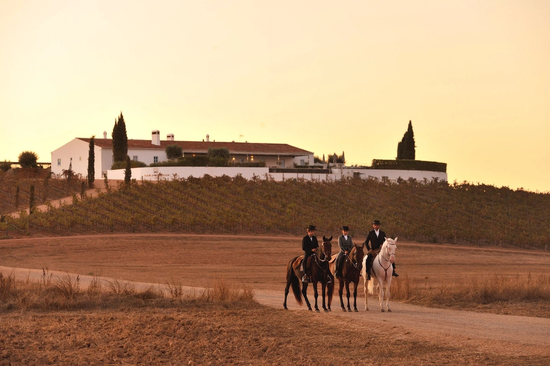 Stud Farm