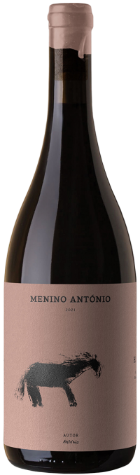Menino Ant&oacute;nio