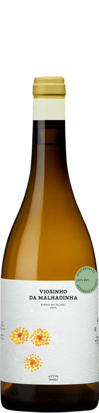 Viosinho da Malhadinha