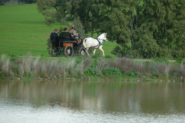 Charriot Ride