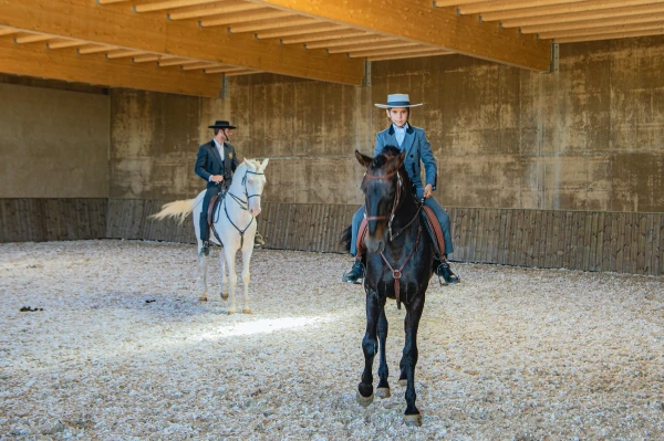 Horse riding in the ring