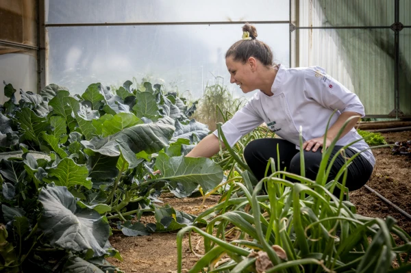  Visite des Potagers