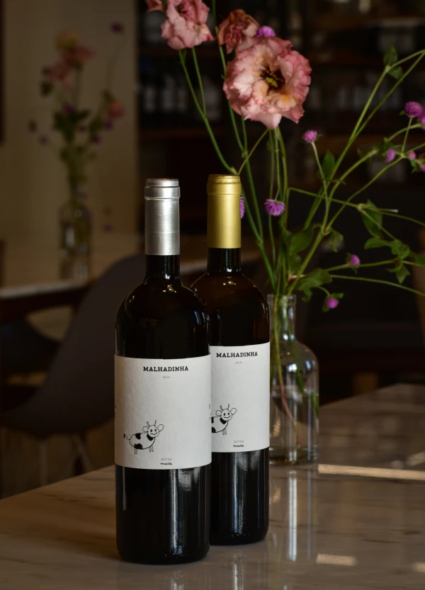 TASTING OF 5 PREMIUM WINES