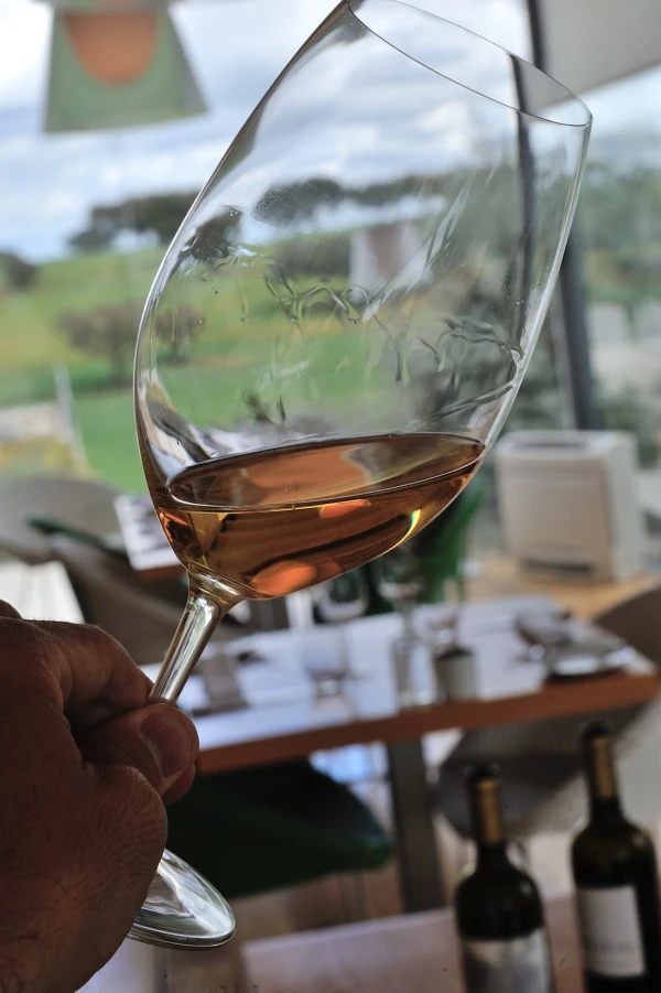  SATURDAY (18H). Surprise Tasting
