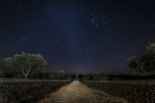 Stargazing Experience