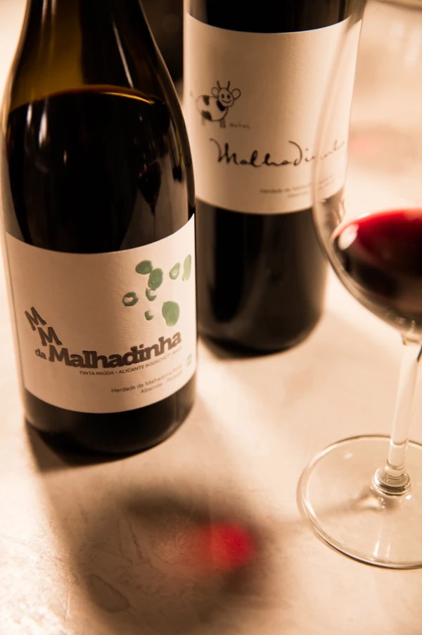 Friday (18h). Diferent Styles Tasting