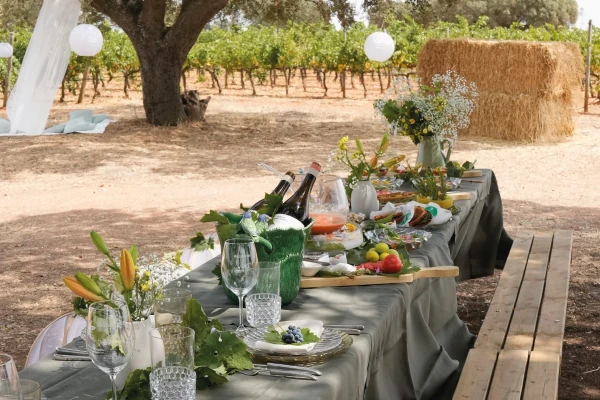 Picnic in the vineyards or in the Terges River