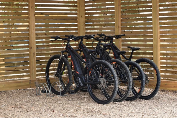 Electric bike experience