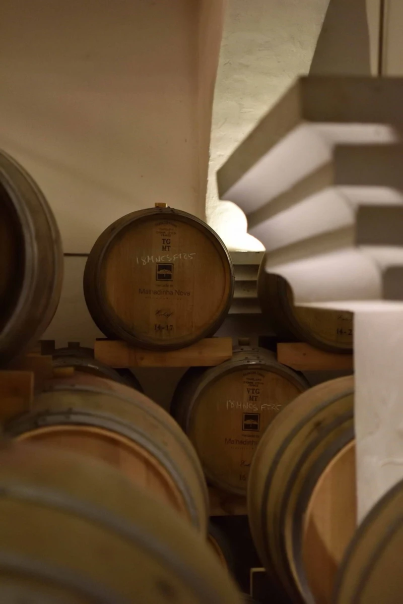 Winery 3