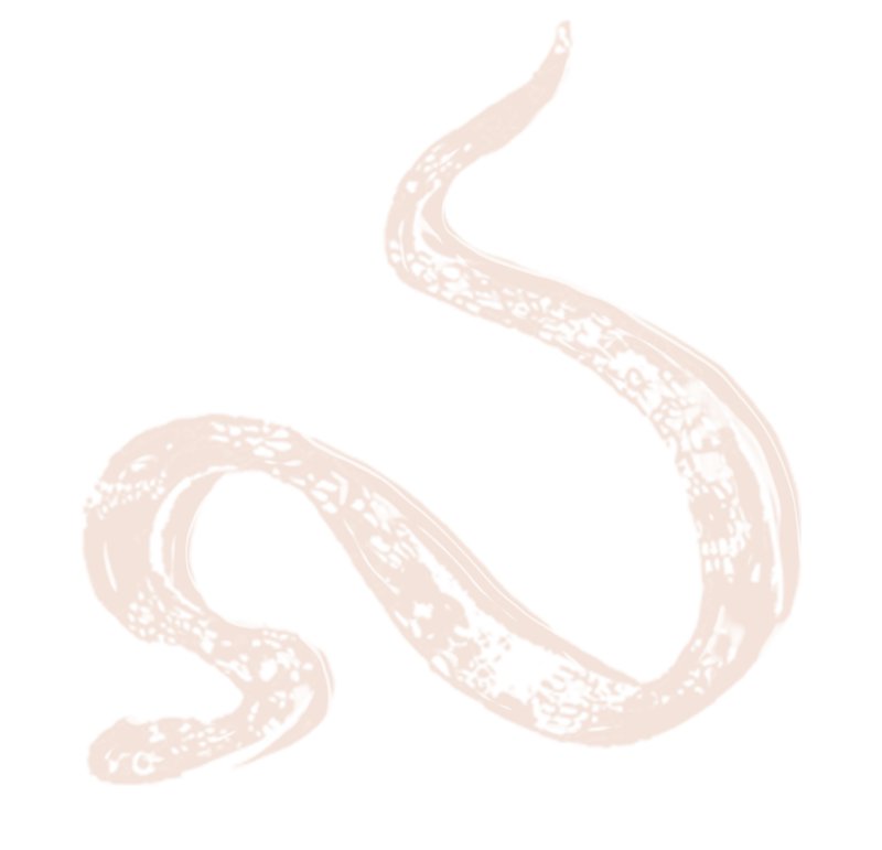 Desenho