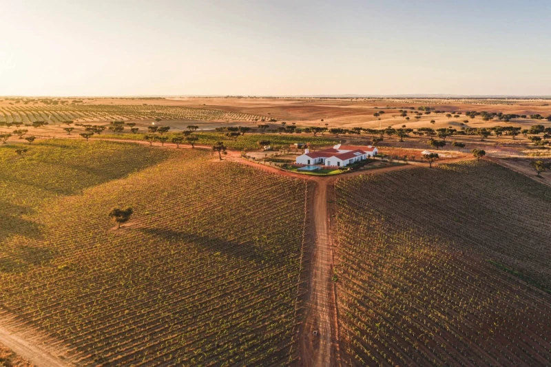 A Herdade onde o sil&ecirc;ncio diz tudo