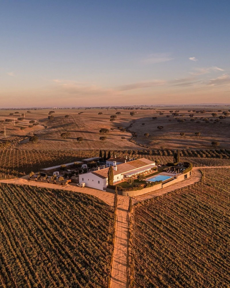 Herdade da Malhadinha Nova distinguida com pr&eacute;mio &ldquo;Turismo Sustent&aacute;vel de 2024&rdquo;