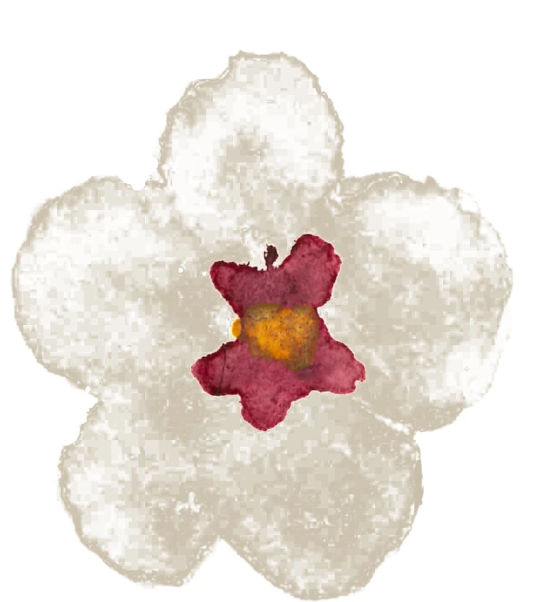 Desenho