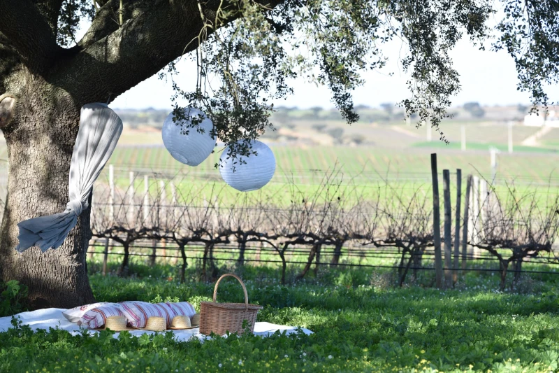 Saia e coma bem: 9 piqueniques em hot&eacute;is perfeitos em Portugal