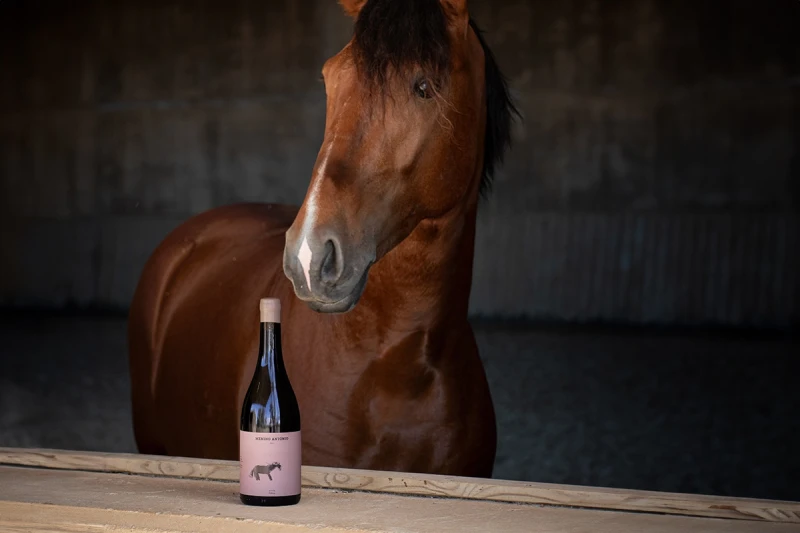 Mutant Awards Design bei den Wine Awards 2025
