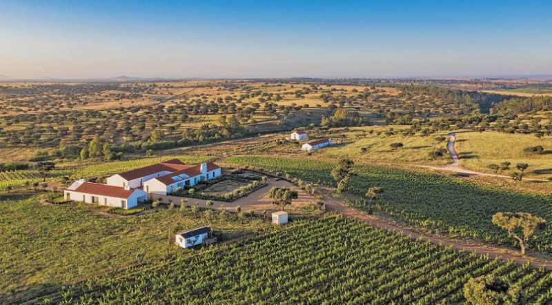 Herdade da Malhadinha Nova: o regresso &agrave;s castas como express&atilde;o do lugar