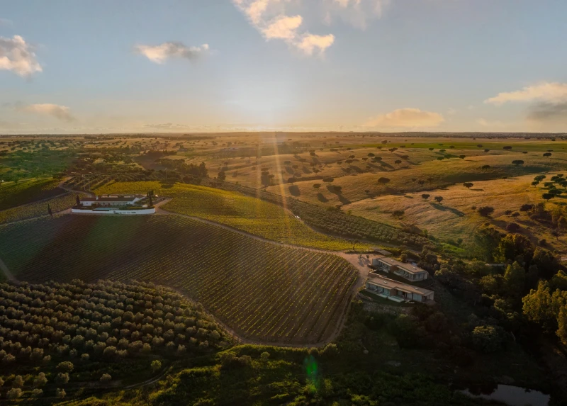 HERDADE DA MALHADINHA NOVA: HORIZONTES INTERMIN&Aacute;VEIS DE LIBERDADE