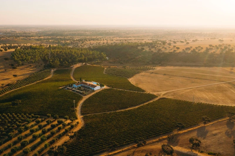 Herdade da Malhadinha Nova conquista certifica&ccedil;&atilde;o B Corp. &Eacute; o primeiro hotel em Portugal com esta distin&ccedil;&atilde;o