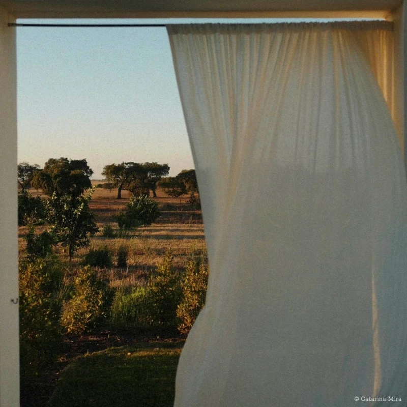 Summer playlist