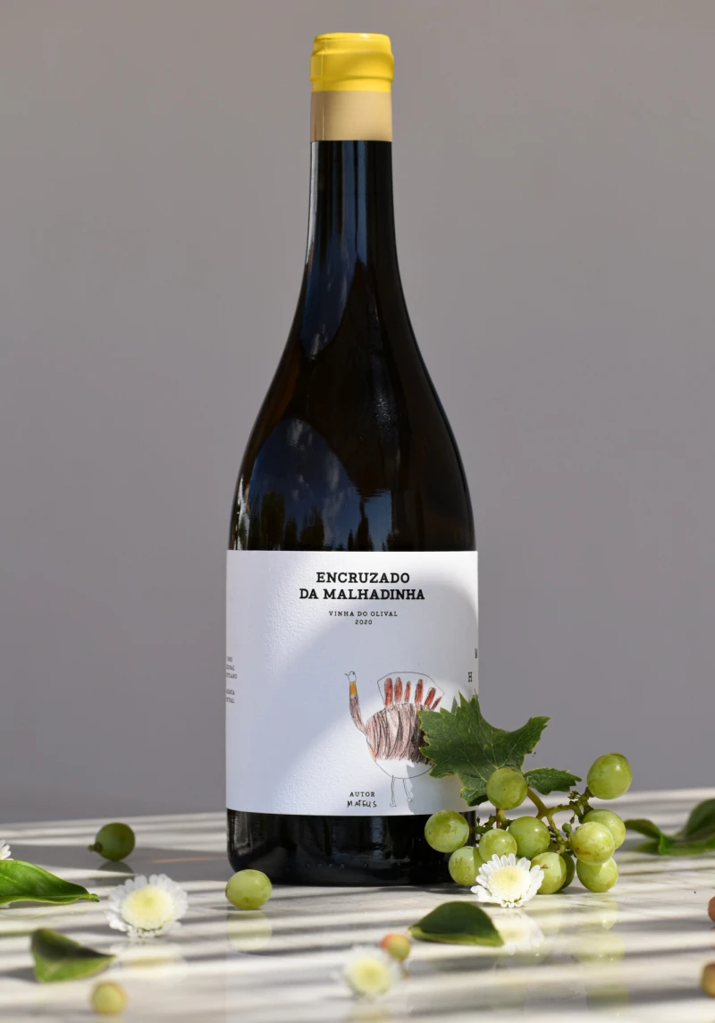 Dez vinhos para acompanhar o peixe grelhado