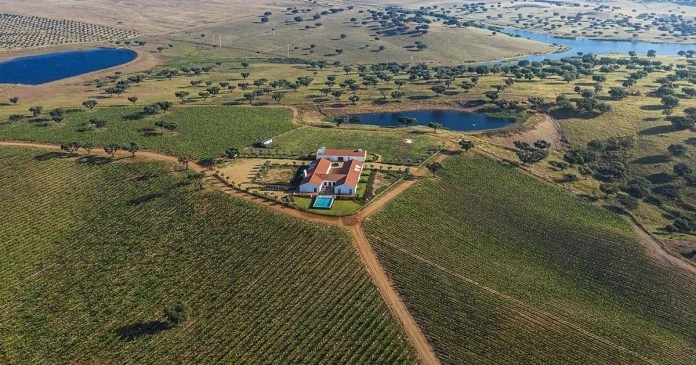 Herdade da Malhadinha Nova torna-se B Corp e refor&ccedil;a o compromisso com o futuro