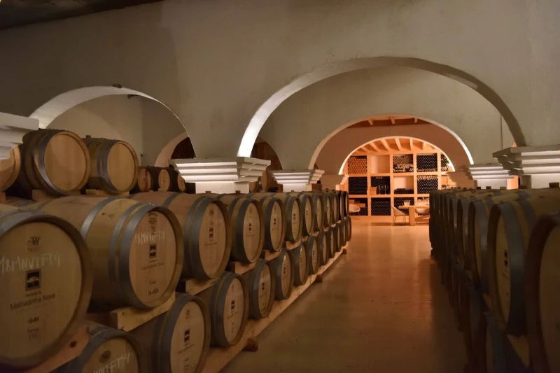 Alentejo Tinto de primeira grandeza
