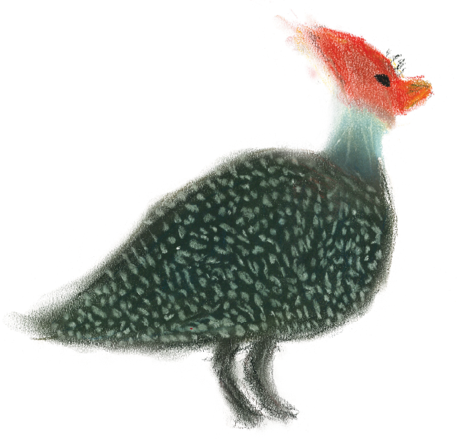 Desenho