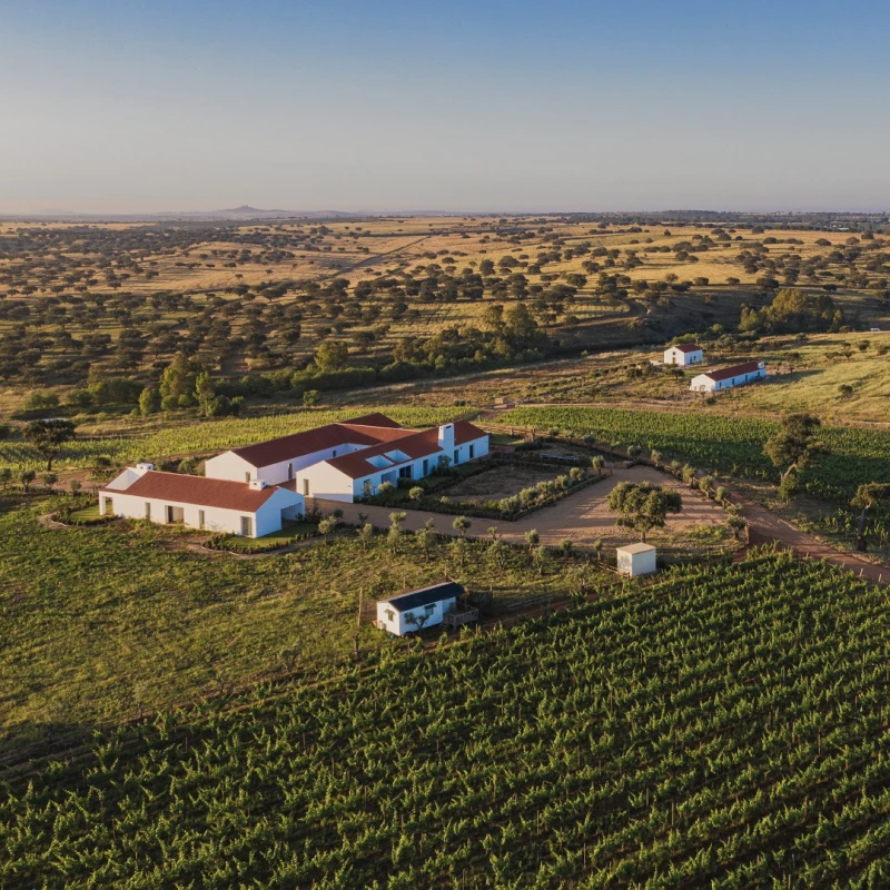 Un week-end pour les amateurs de vin au c&oelig;ur des vignobles de l'Alentejo rural