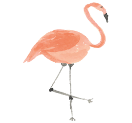 Desenho