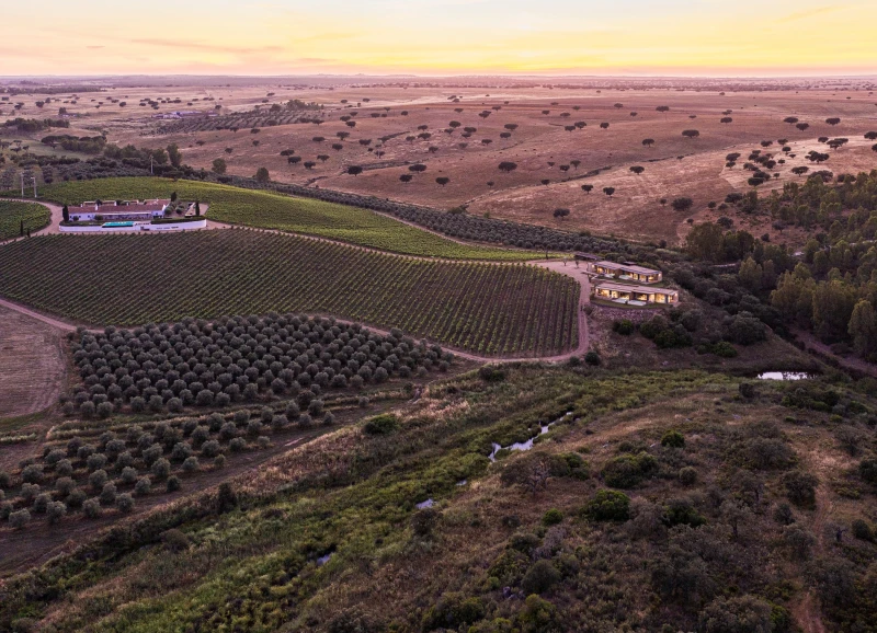 O vinho &eacute; o cora&ccedil;&atilde;o da herdade