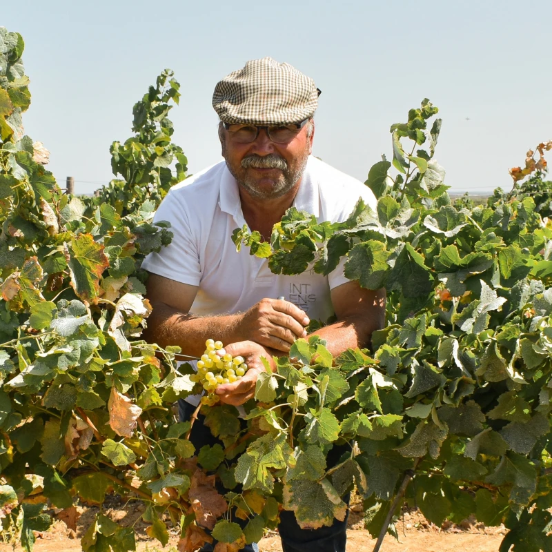 MEET THE TEAM MIT RUI VEN&Acirc;NCIO, LANDWIRTSCHAFTLICHER BETRIEBSLEITER