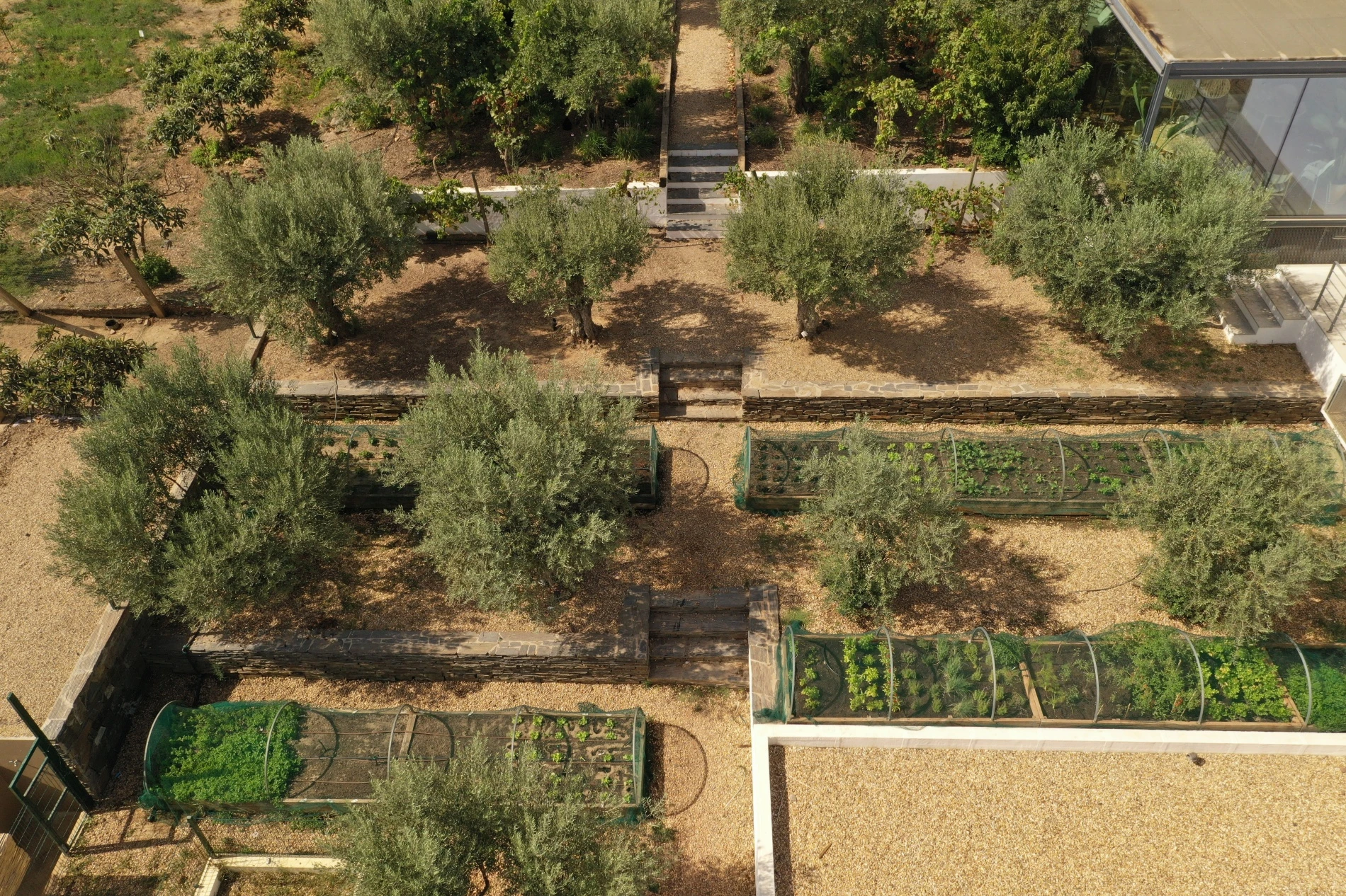 Bio-Gem&uuml;segarten