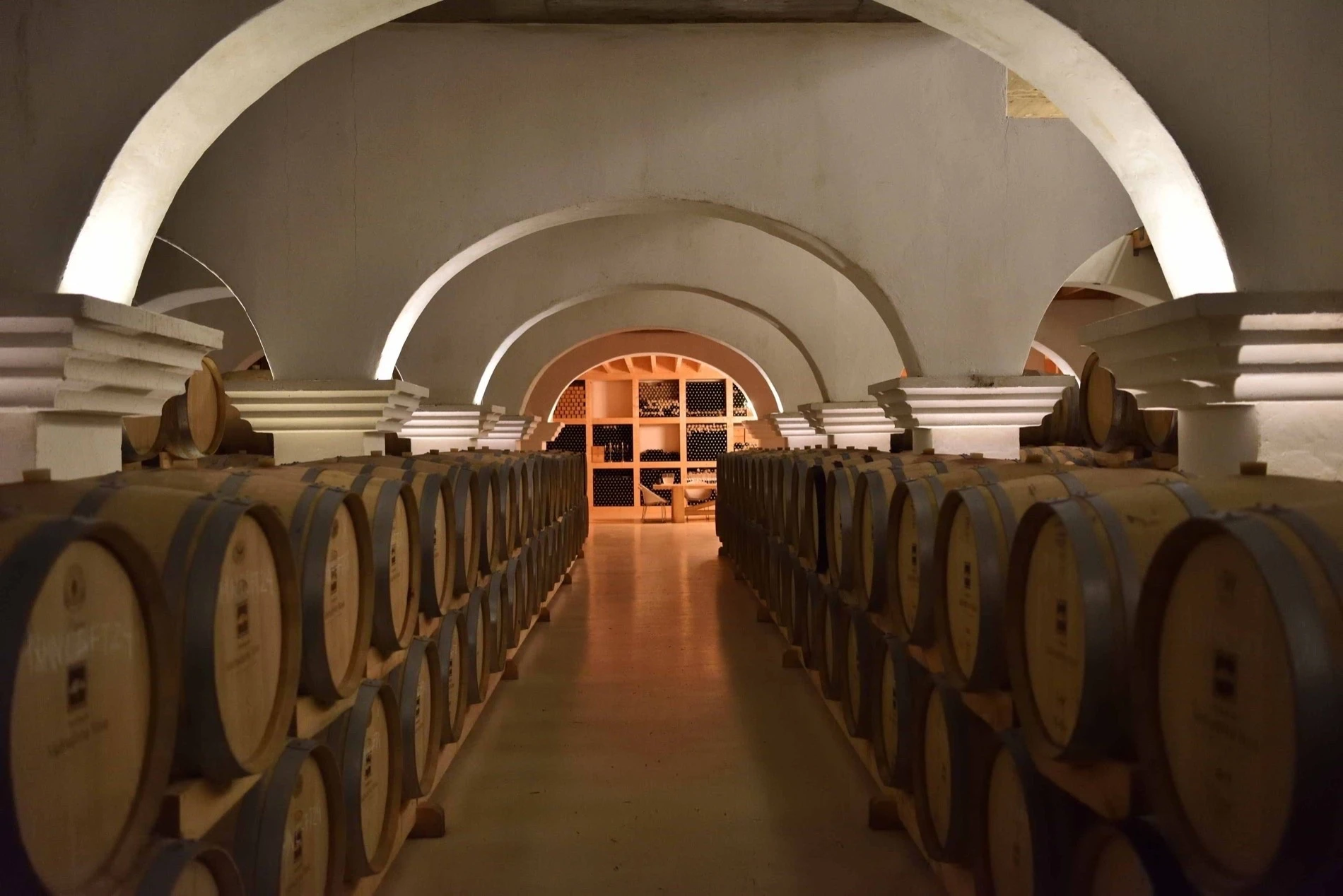 Cave &agrave; vins