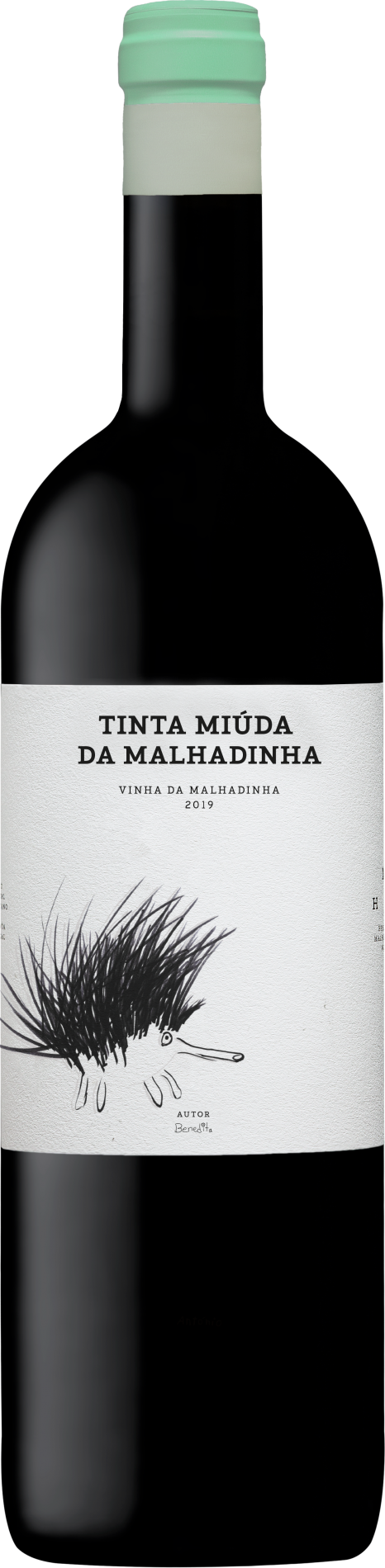Tinta Miúda da Malhadinha