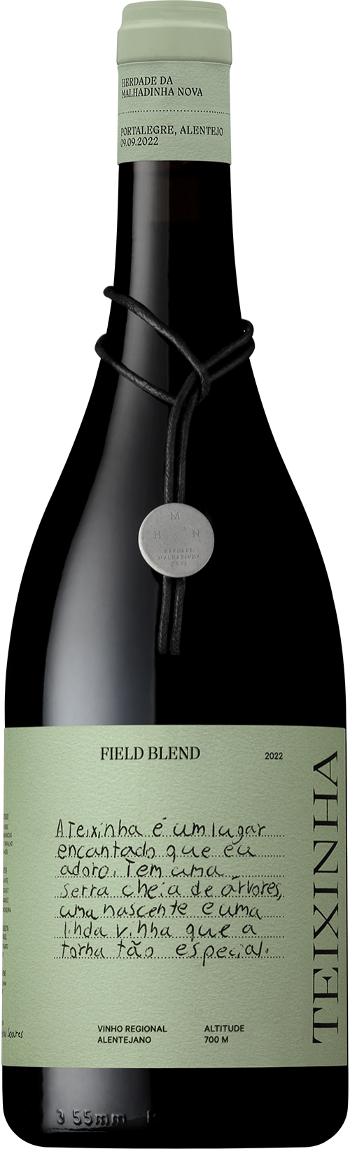 Teixinha Field Blend Barrica Red