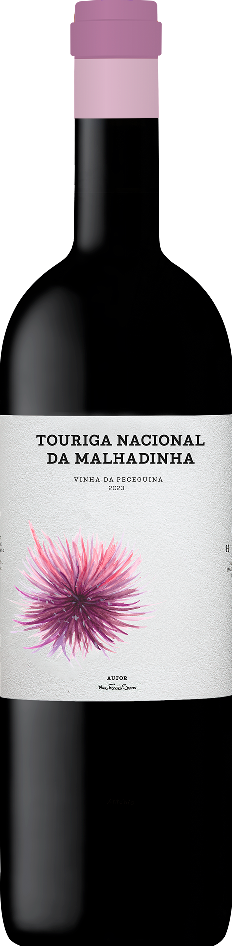 Touriga Nacional da Malhadinha