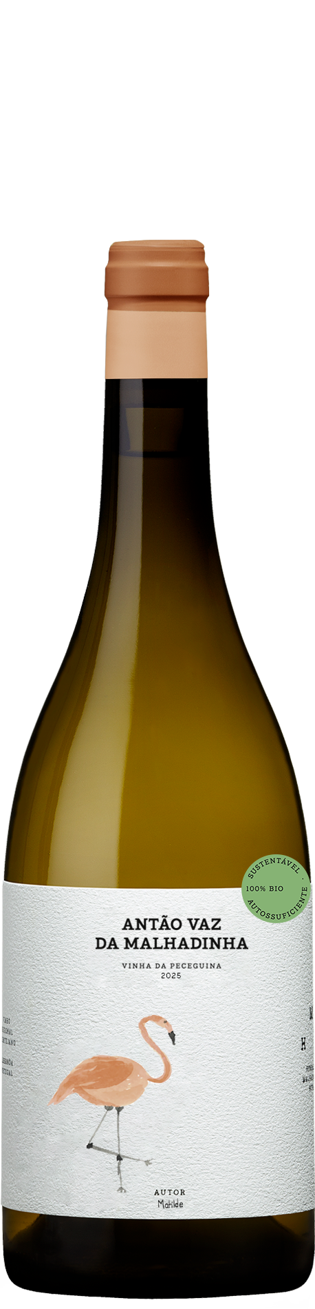 Ant&atilde;o Vaz da Malhadinha - Vinha da Peceguina